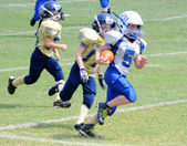 Enlarge photo 155