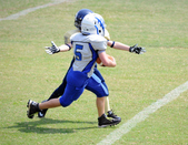 Enlarge photo 157