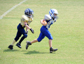 Enlarge photo 161