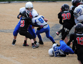 Enlarge photo 15