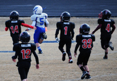 Enlarge photo 25