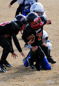Enlarge photo 35