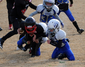 Enlarge photo 59