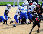 Enlarge photo 61