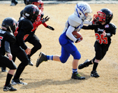 Enlarge photo 63