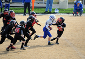 Enlarge photo 62