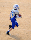 Enlarge photo 73