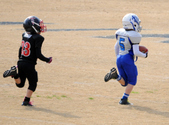 Enlarge photo 37