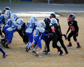 Enlarge photo 40