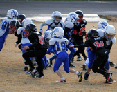 Enlarge photo 41