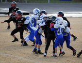 Enlarge photo 42