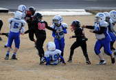 Enlarge photo 43