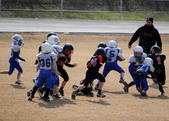 Enlarge photo 53