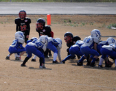 Enlarge photo 54