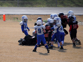 Enlarge photo 56