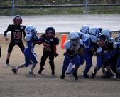 Enlarge photo 58