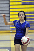 Polk County - 12U Volleyball