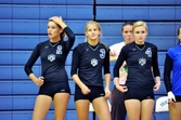 Polk County Wolverines Volleyball 2009