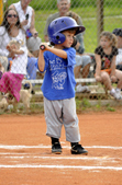 Enlarge photo 134