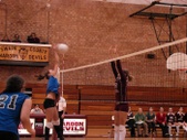 Enlarge photo 43