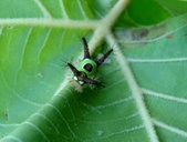 Enlarge photo 16