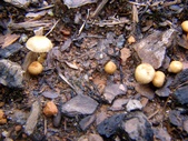 Enlarge photo 28
