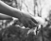 Enlarge photo 27