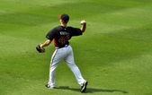 Enlarge photo 53