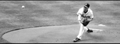 Enlarge photo 54