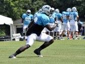 Carolina Panthers Training Camp