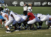 Enlarge photo 40