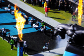 Carolina Panthers vs Tampa Bay 2013