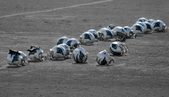 Enlarge photo 14
