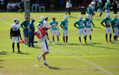 Enlarge photo 17