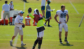 Dolphins Panthers Joint Practice 2015