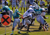 Enlarge photo 24