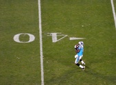 Enlarge photo 128