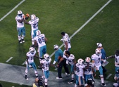 Enlarge photo 109