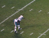 Enlarge photo 140