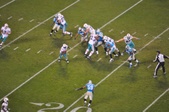 Enlarge photo 138