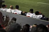 Enlarge photo 57
