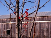 Enlarge photo 14