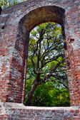 Enlarge photo 48