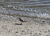 Enlarge photo 41