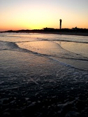 Enlarge photo 51