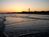 Enlarge photo 52