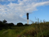 Enlarge photo 45
