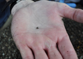 Enlarge photo 8