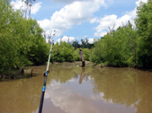 Enlarge photo 17