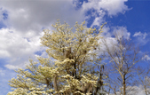 Enlarge photo 32